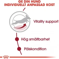 Royal Canin Koiran Kuivaruoka*Medium Adult 7+ 2 x 15kg