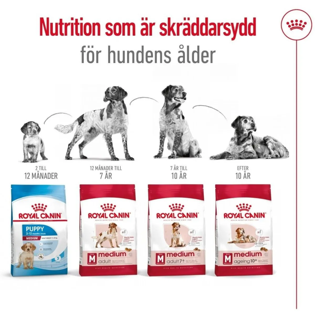 Royal Canin Koiran Kuivaruoka*Medium Adult 7+ 2 x 15kg