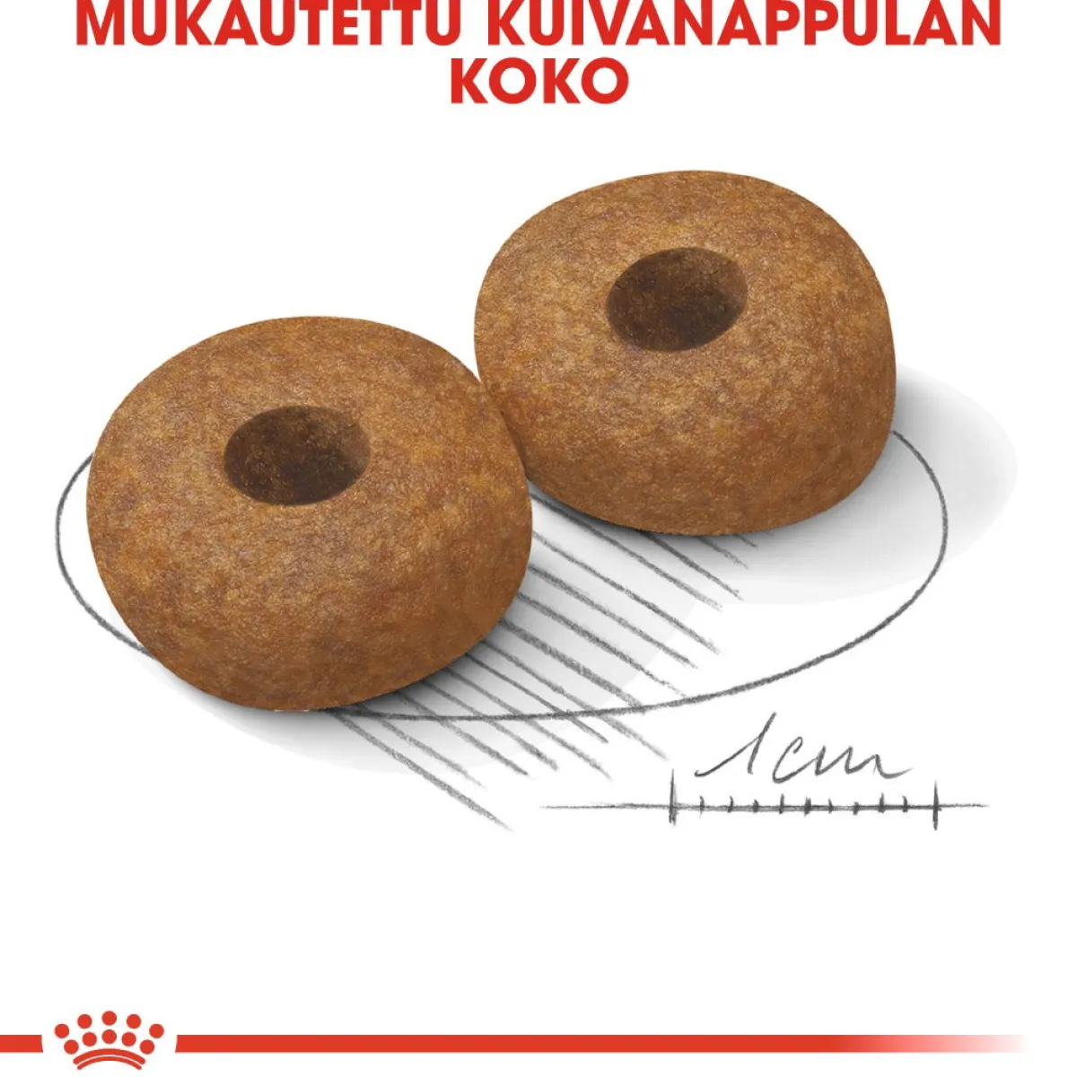 Royal Canin Koiran Kuivaruoka|Senioriruoka*Medium Ageing 10+, 15 kg