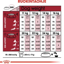Royal Canin Koiran Kuivaruoka|Senioriruoka*Medium Ageing 10+, 15 kg