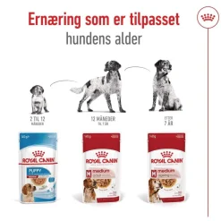Royal Canin Koiran Märkäruoka Ja Makkarat|Senioriruoka*Medium Ageing Wet 10 x 140 g