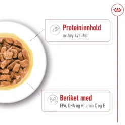Royal Canin Koiran Märkäruoka Ja Makkarat|Senioriruoka*Medium Ageing Wet 10 x 140 g