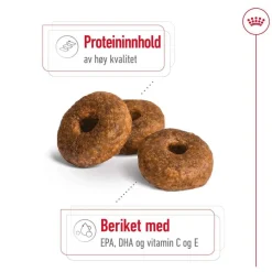 Royal Canin Koiran Kuivaruoka*Medium Ageing 10+ 2 x 15kg