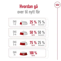 Royal Canin Koiran Kuivaruoka*Medium Ageing 10+ 2 x 15kg