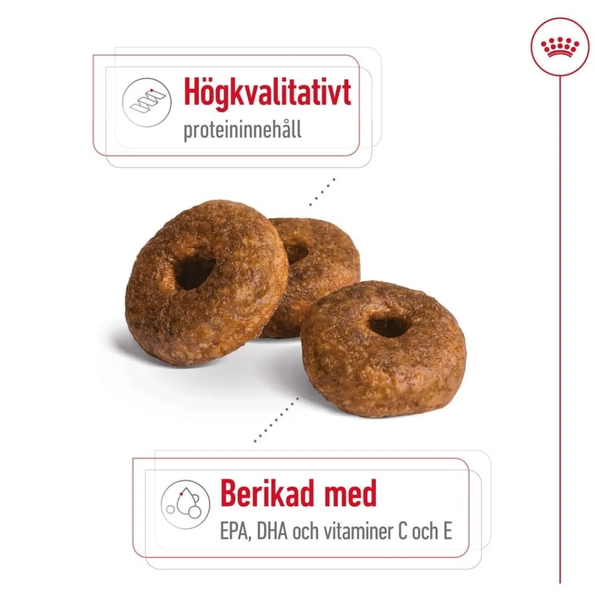 Royal Canin Koiran Kuivaruoka*Medium Ageing 10+ 2 x 15kg