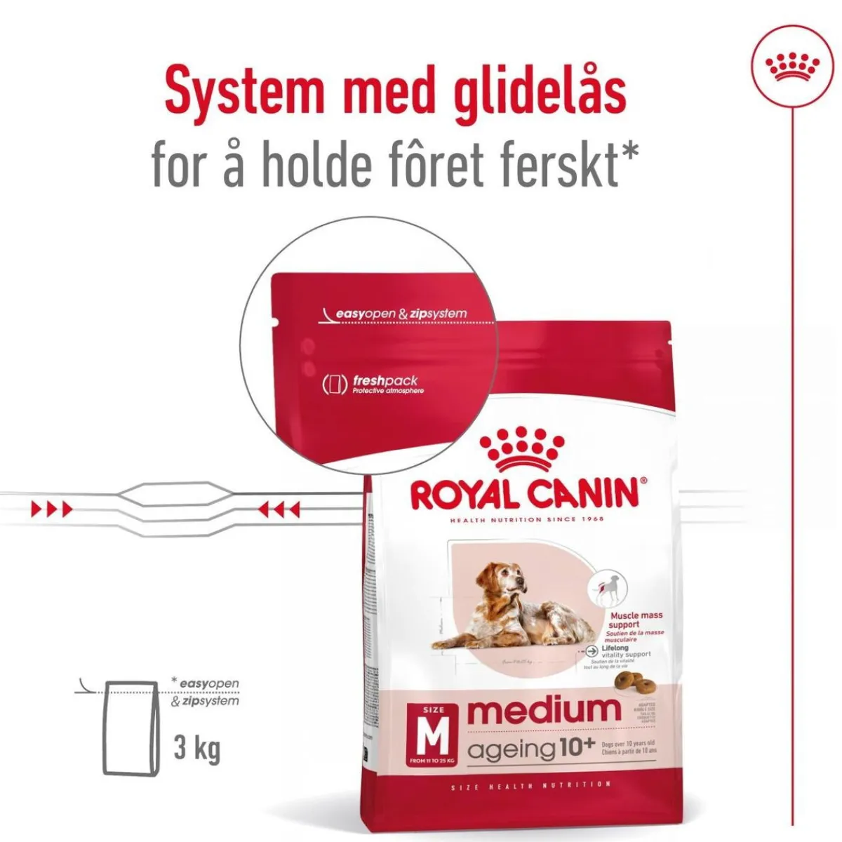 Royal Canin Koiran Kuivaruoka*Medium Ageing 10+ 2 x 15kg