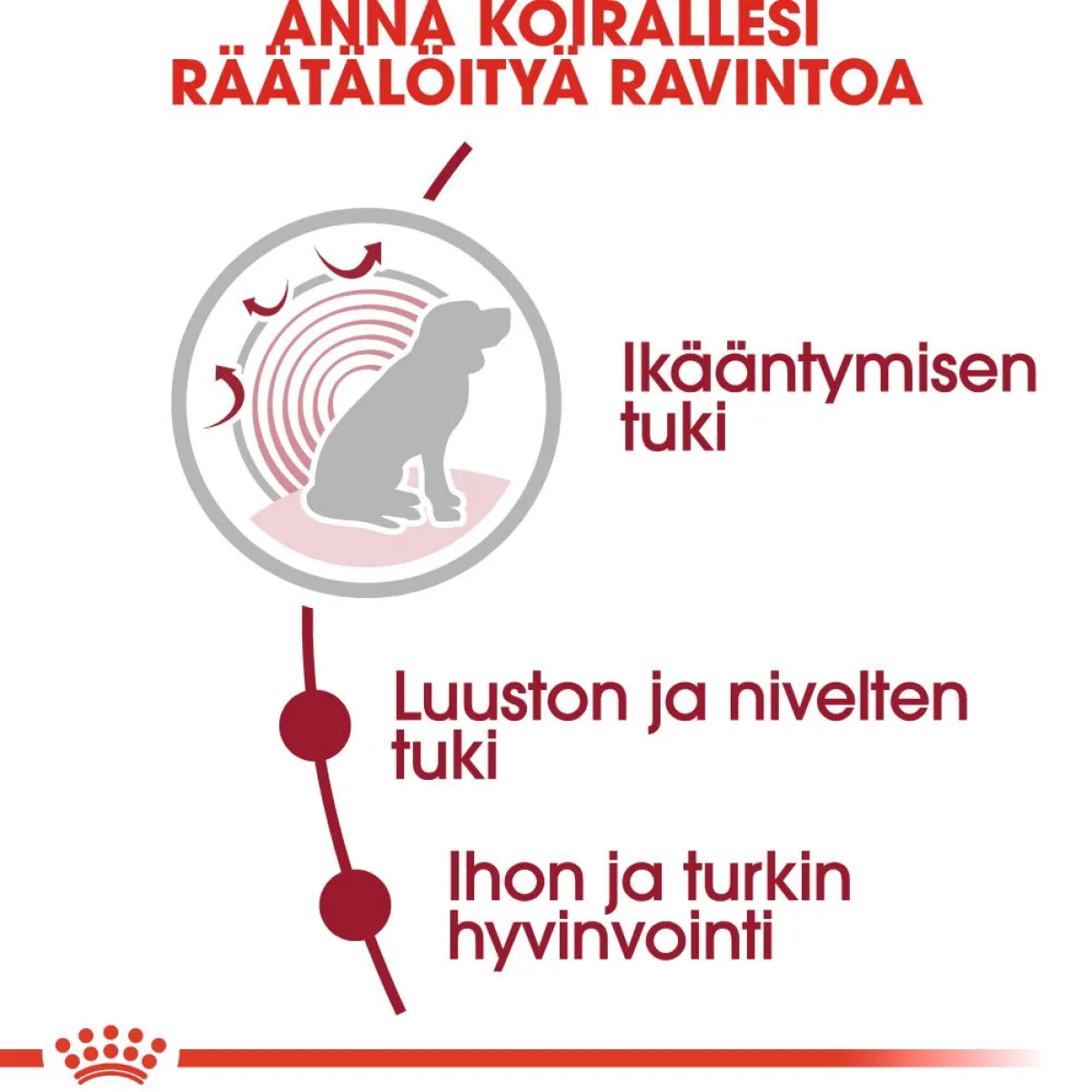 Royal Canin Koiran Kuivaruoka*Medium Ageing 10+ 2 x 15kg