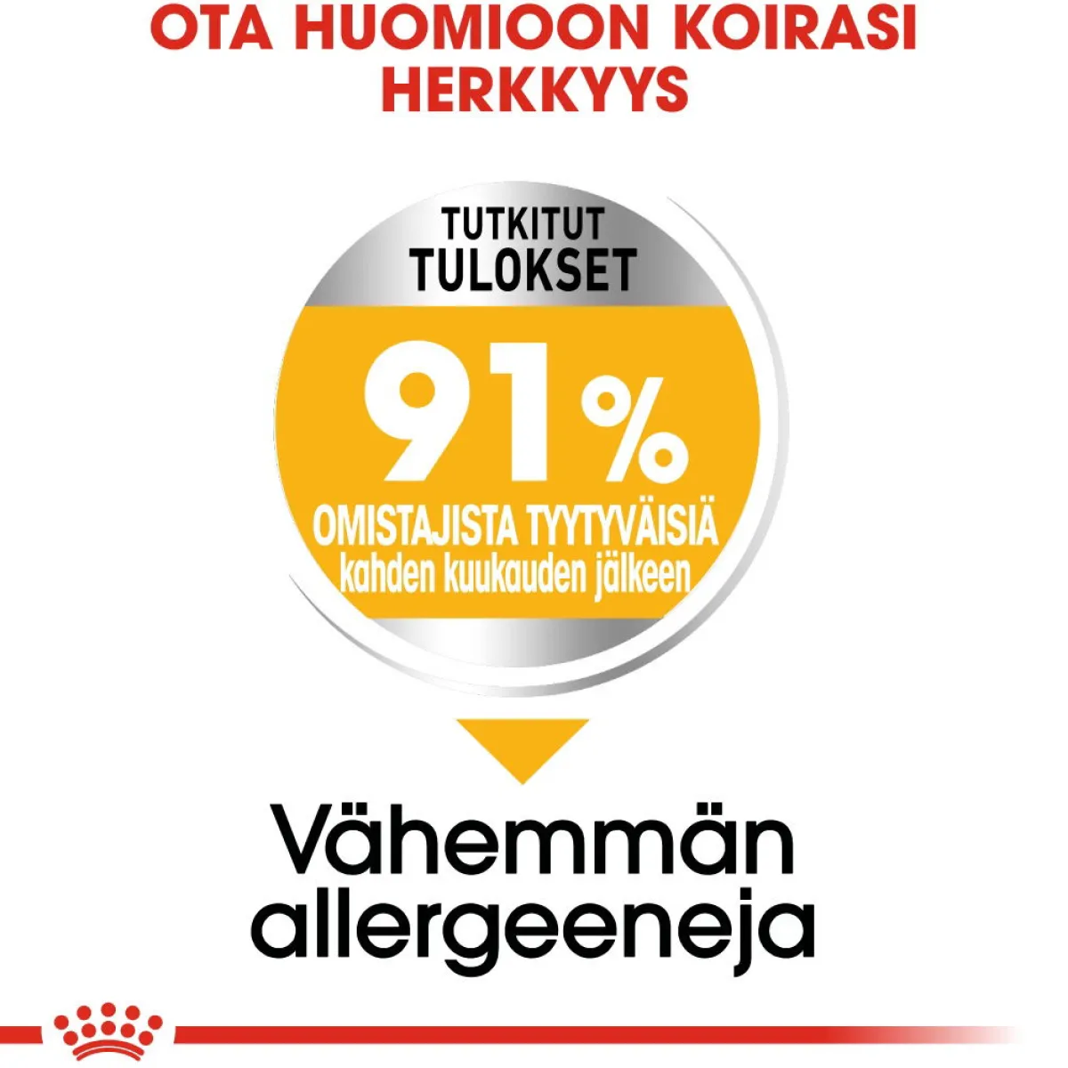 Royal Canin Koiranruoat Erityistapeisiin|Koiran Kuivaruoka*Medium Dermacomfort