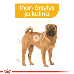 Royal Canin Koiranruoat Erityistapeisiin|Koiran Kuivaruoka*Medium Dermacomfort