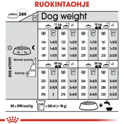 Royal Canin Koiran Kuivaruoka*Medium Digestive Care
