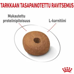 Royal Canin Koiranruoat Erityistapeisiin|Koiran Kuivaruoka*Medium Light Weight Care