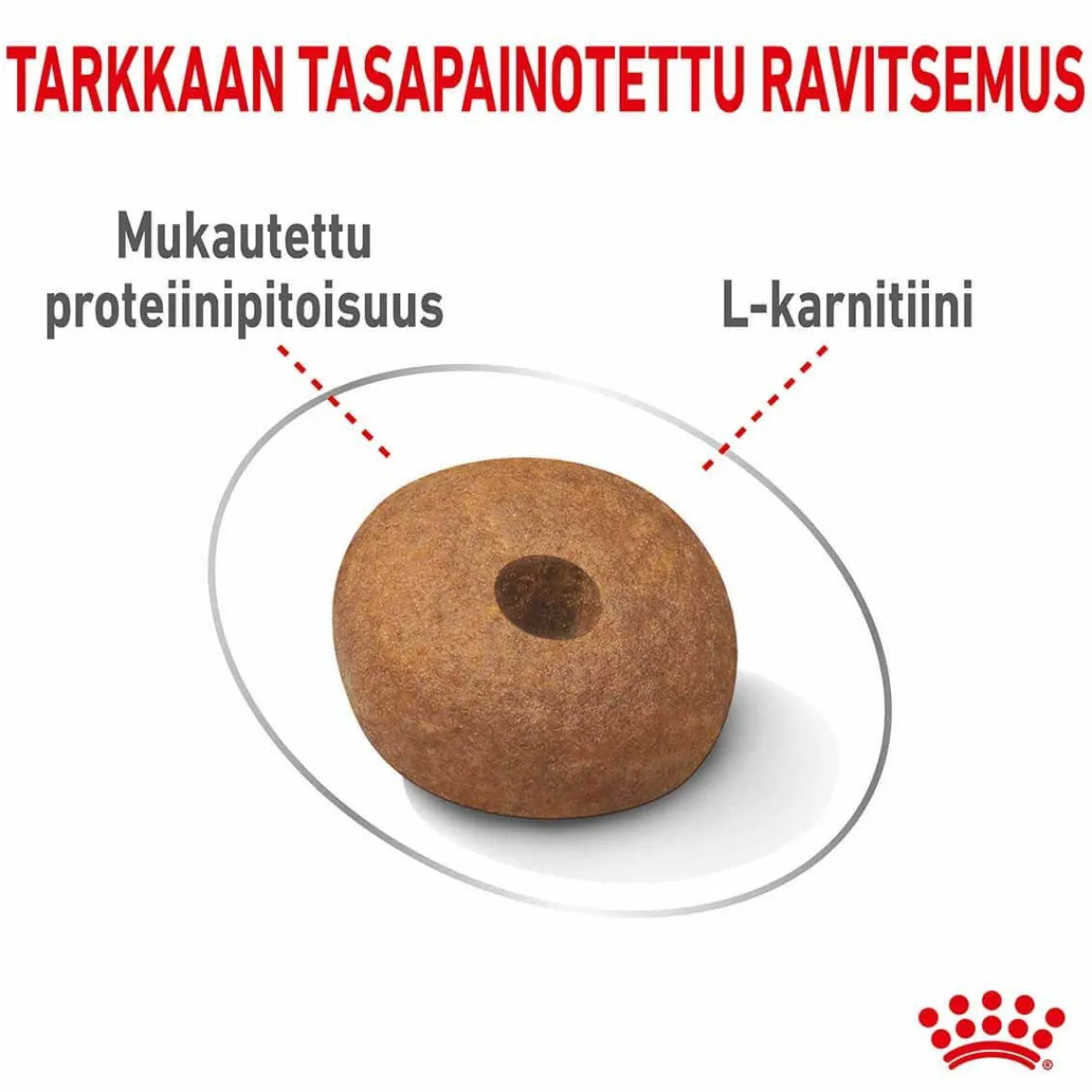 Royal Canin Koiranruoat Erityistapeisiin|Koiran Kuivaruoka*Medium Light Weight Care