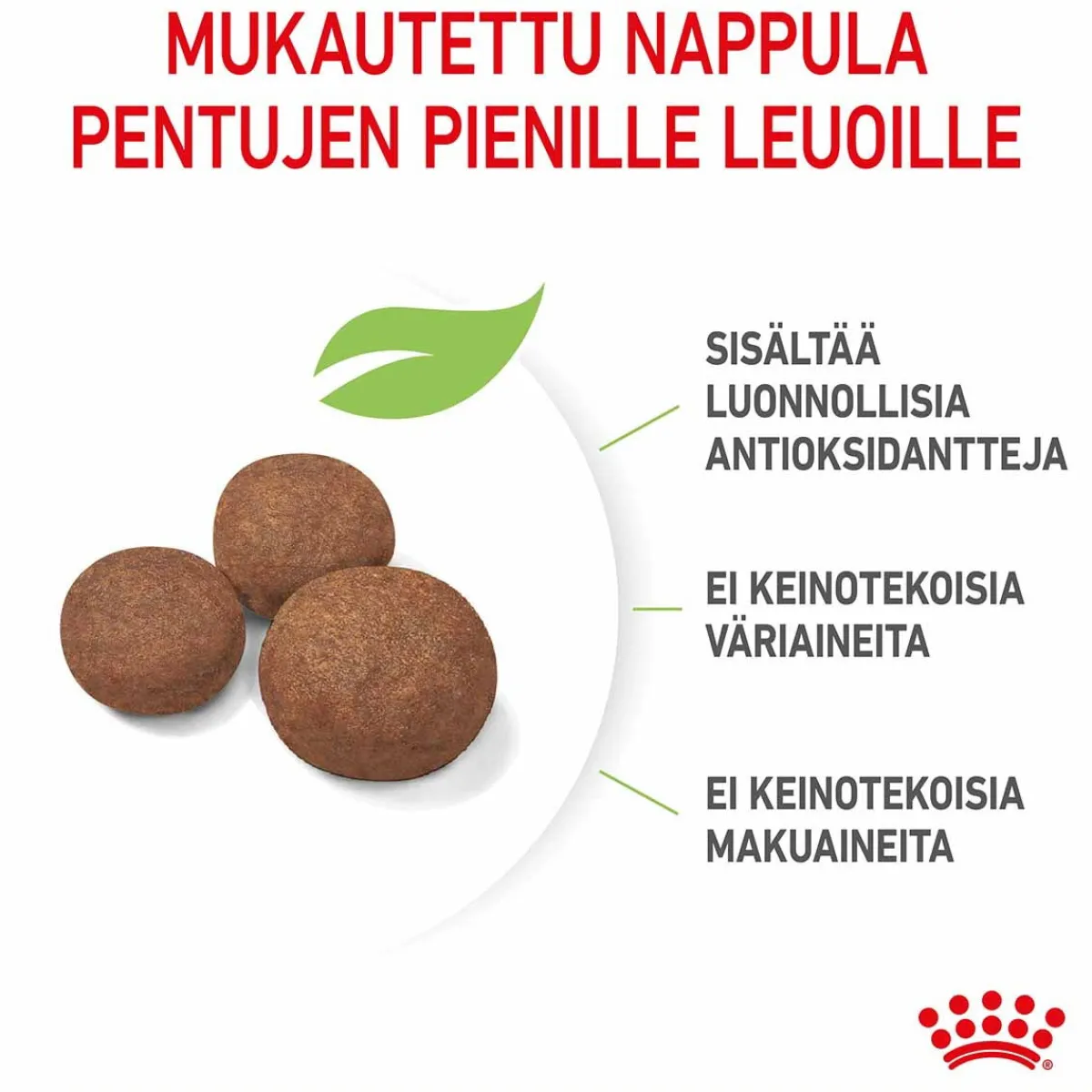 Royal Canin Penturuoka|Koiran Kuivaruoka*Medium Puppy