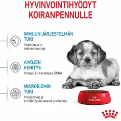 Royal Canin Penturuoka|Koiran Kuivaruoka*Medium Puppy