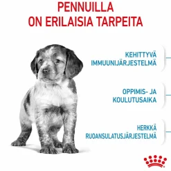 Royal Canin Penturuoka|Koiran Kuivaruoka*Medium Puppy