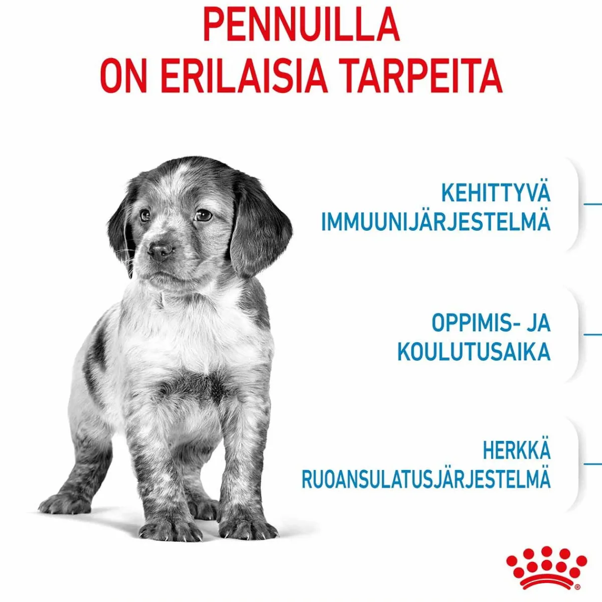 Royal Canin Penturuoka|Koiran Kuivaruoka*Medium Puppy