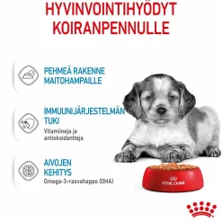 Royal Canin Penturuoka|Penturuoka*Medium Puppy Wet 10x140g