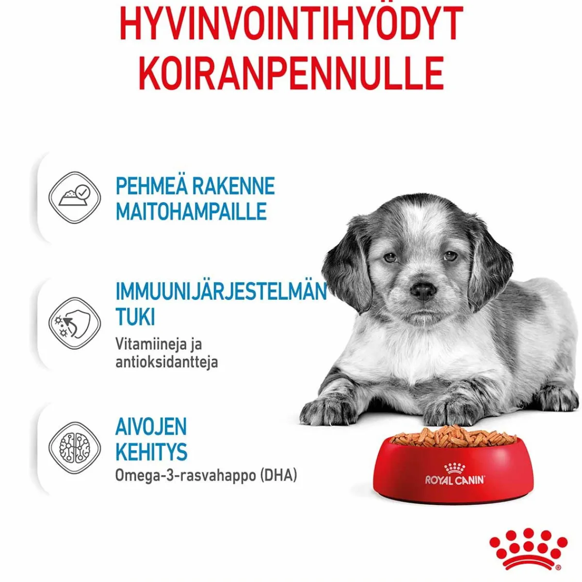 Royal Canin Penturuoka|Penturuoka*Medium Puppy Wet 10x140g