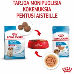 Royal Canin Penturuoka|Penturuoka*Medium Puppy Wet 10x140g