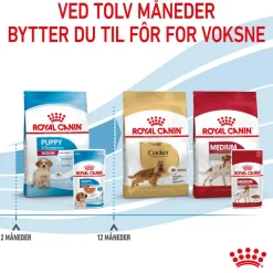 Royal Canin Penturuoka|Penturuoka*Medium Puppy 40x140 g