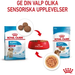 Royal Canin Penturuoka|Penturuoka*Medium Puppy 40x140 g