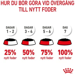 Royal Canin Penturuoka|Penturuoka*Medium Puppy 40x140 g