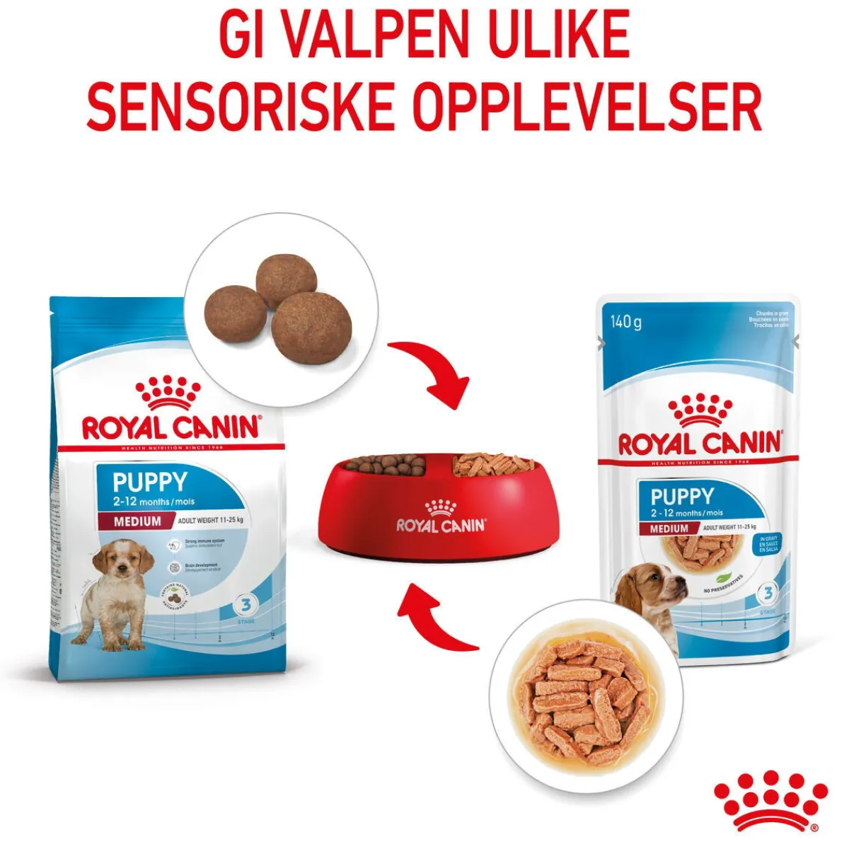 Royal Canin Penturuoka|Penturuoka*Medium Puppy 40x140 g
