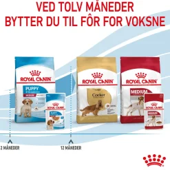Royal Canin Penturuoka|Penturuoka*Medium Puppy 40x140 g