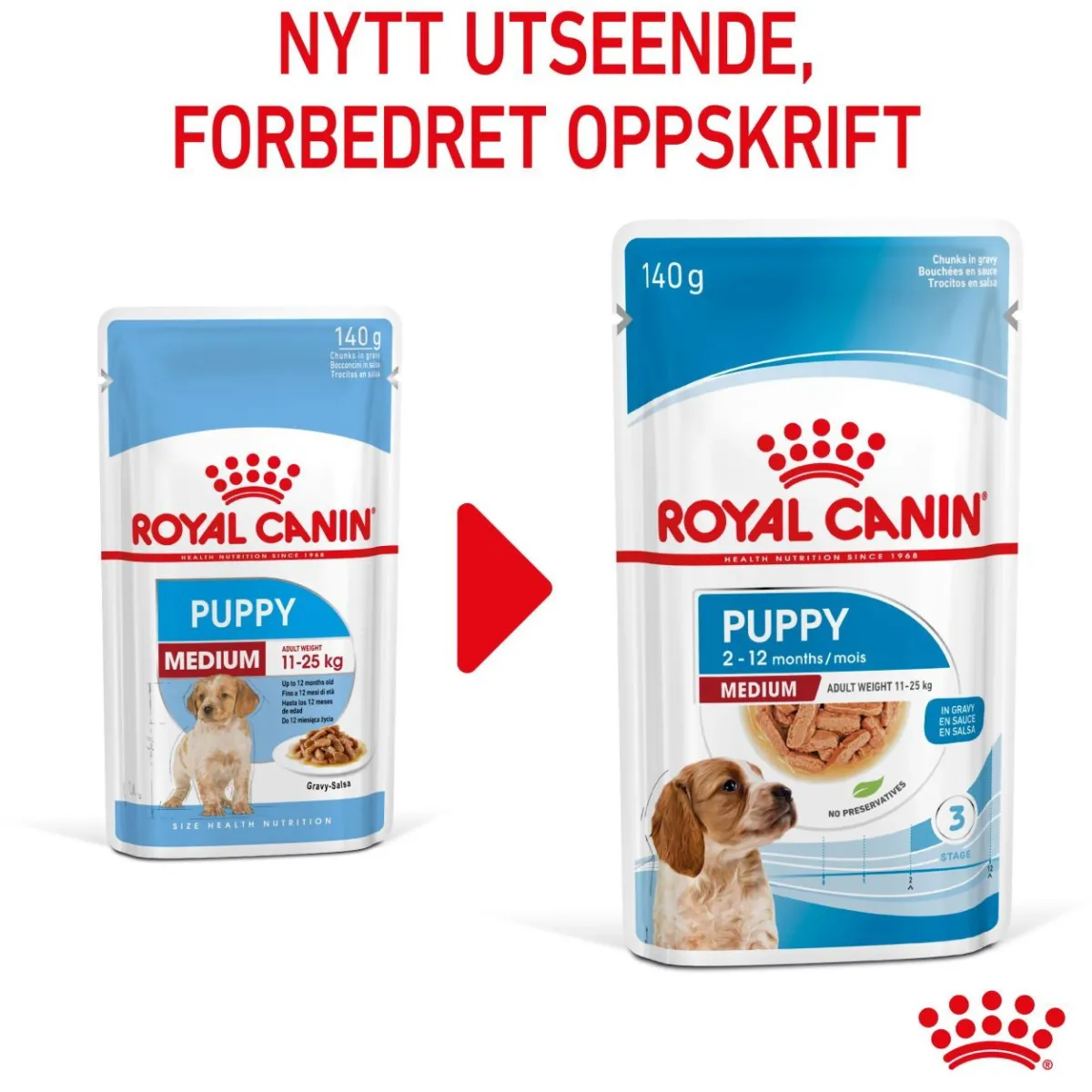 Royal Canin Penturuoka|Penturuoka*Medium Puppy 40x140 g
