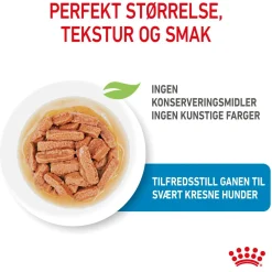 Royal Canin Penturuoka|Penturuoka*Medium Puppy 40x140 g