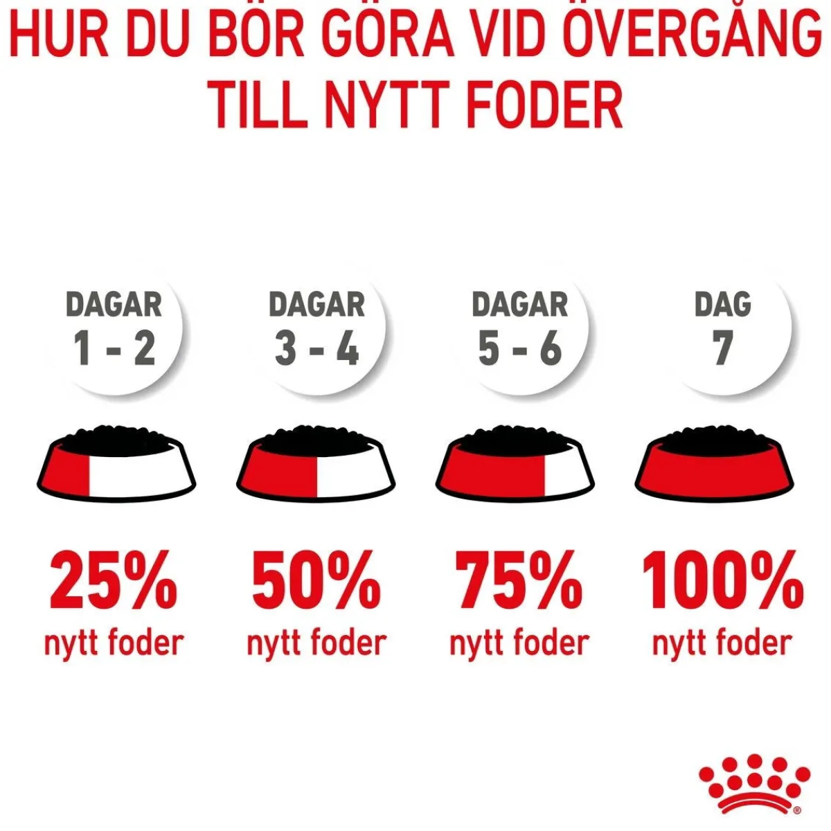Royal Canin Penturuoka|Penturuoka*Medium Puppy 40x140 g