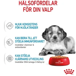 Royal Canin Penturuoka|Penturuoka*Medium Puppy 40x140 g