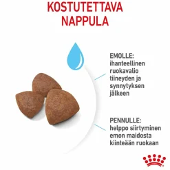 Royal Canin Penturuoka|Koiran Kuivaruoka*Medium Starter
