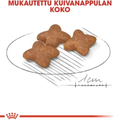 Royal Canin Koiran Kuivaruoka*Mini Adult