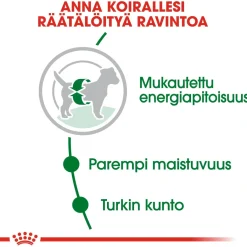 Royal Canin Koiran Kuivaruoka*Mini Adult