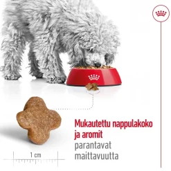 Royal Canin Koiran Kuivaruoka|Senioriruoka*Mini Adult 8+