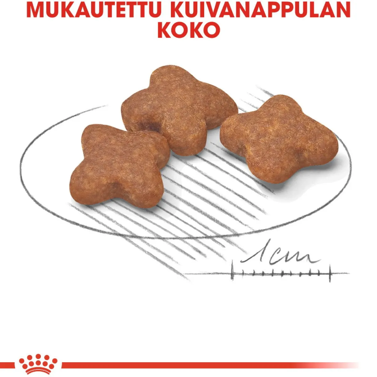Royal Canin Koiran Kuivaruoka|Senioriruoka*Mini Adult 8+