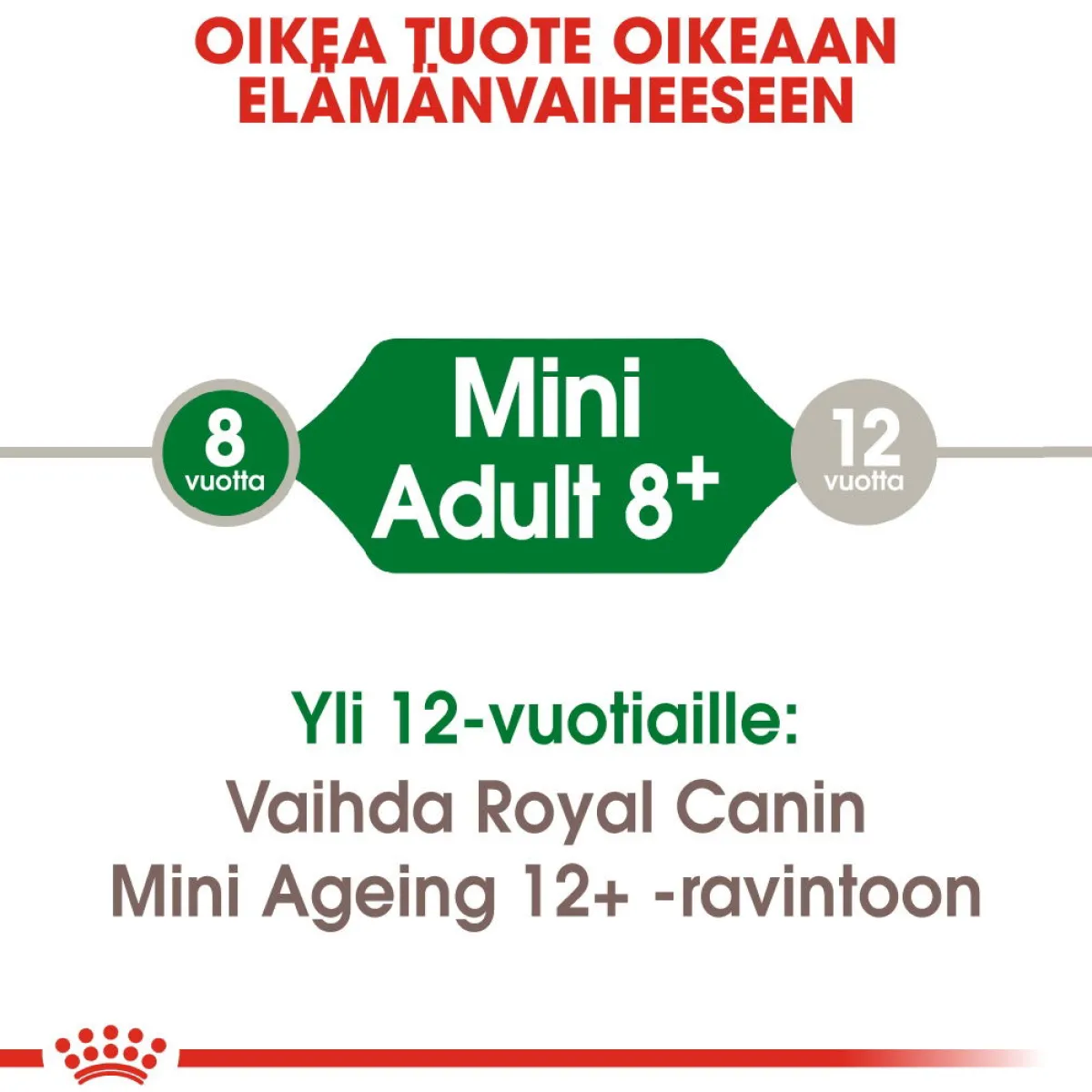 Royal Canin Koiran Kuivaruoka|Senioriruoka*Mini Adult 8+