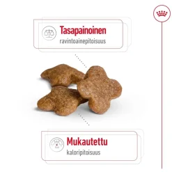 Royal Canin Koiran Kuivaruoka|Senioriruoka*Mini Adult 8+