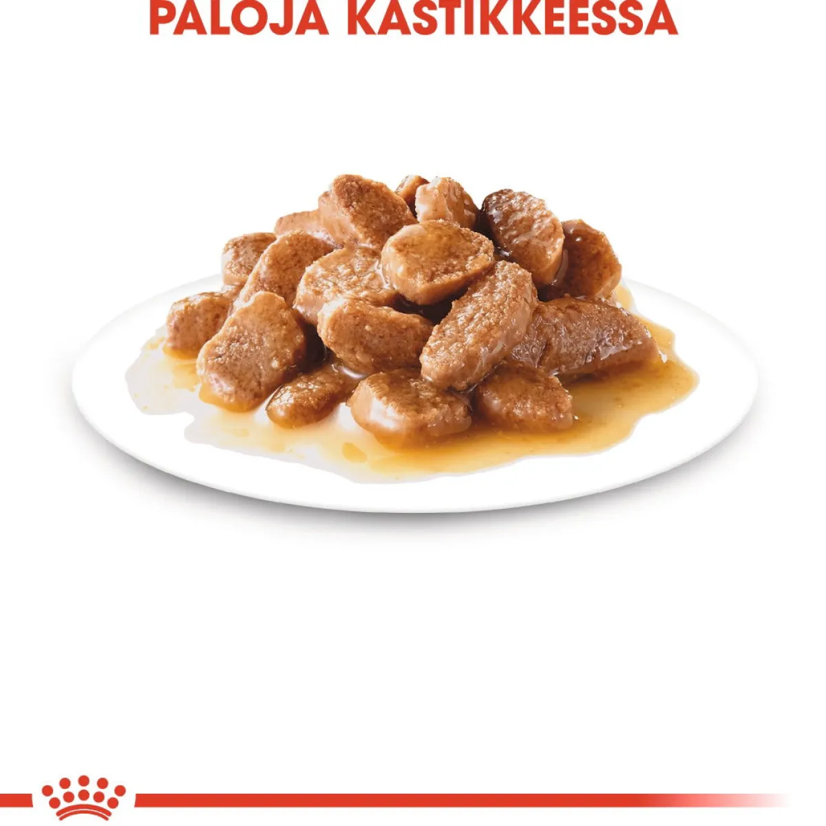 Royal Canin Koiran Märkäruoka Ja Makkarat*Mini Adult Wet 12 x 85 g