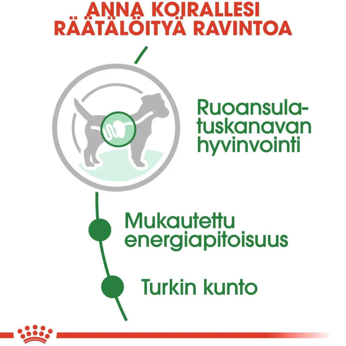 Royal Canin Koiran Märkäruoka Ja Makkarat*Mini Adult Wet 12 x 85 g