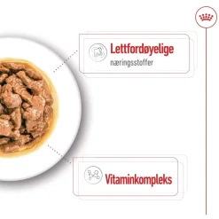 Royal Canin Koiran Märkäruoka Ja Makkarat*Mini Adult 48 x 85 g