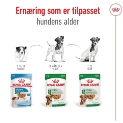 Royal Canin Koiran Märkäruoka Ja Makkarat*Mini Adult 48 x 85 g