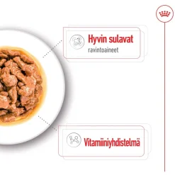 Royal Canin Koiran Märkäruoka Ja Makkarat*Mini Adult 48 x 85 g