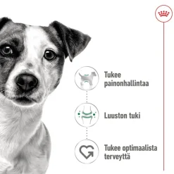 Royal Canin Koiran Märkäruoka Ja Makkarat*Mini Adult 48 x 85 g