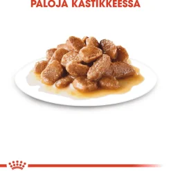 Royal Canin Koiran Märkäruoka Ja Makkarat*Mini Adult 48 x 85 g