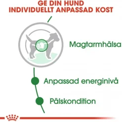 Royal Canin Koiran Märkäruoka Ja Makkarat*Mini Adult 48 x 85 g