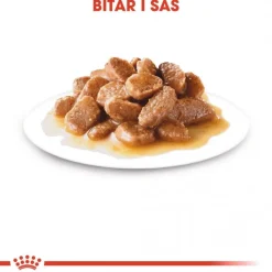 Royal Canin Koiran Märkäruoka Ja Makkarat*Mini Adult 48 x 85 g