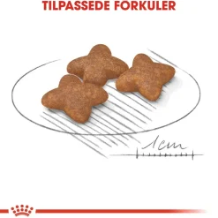 Royal Canin Koiran Kuivaruoka*Mini Adult 2 x 8 kg