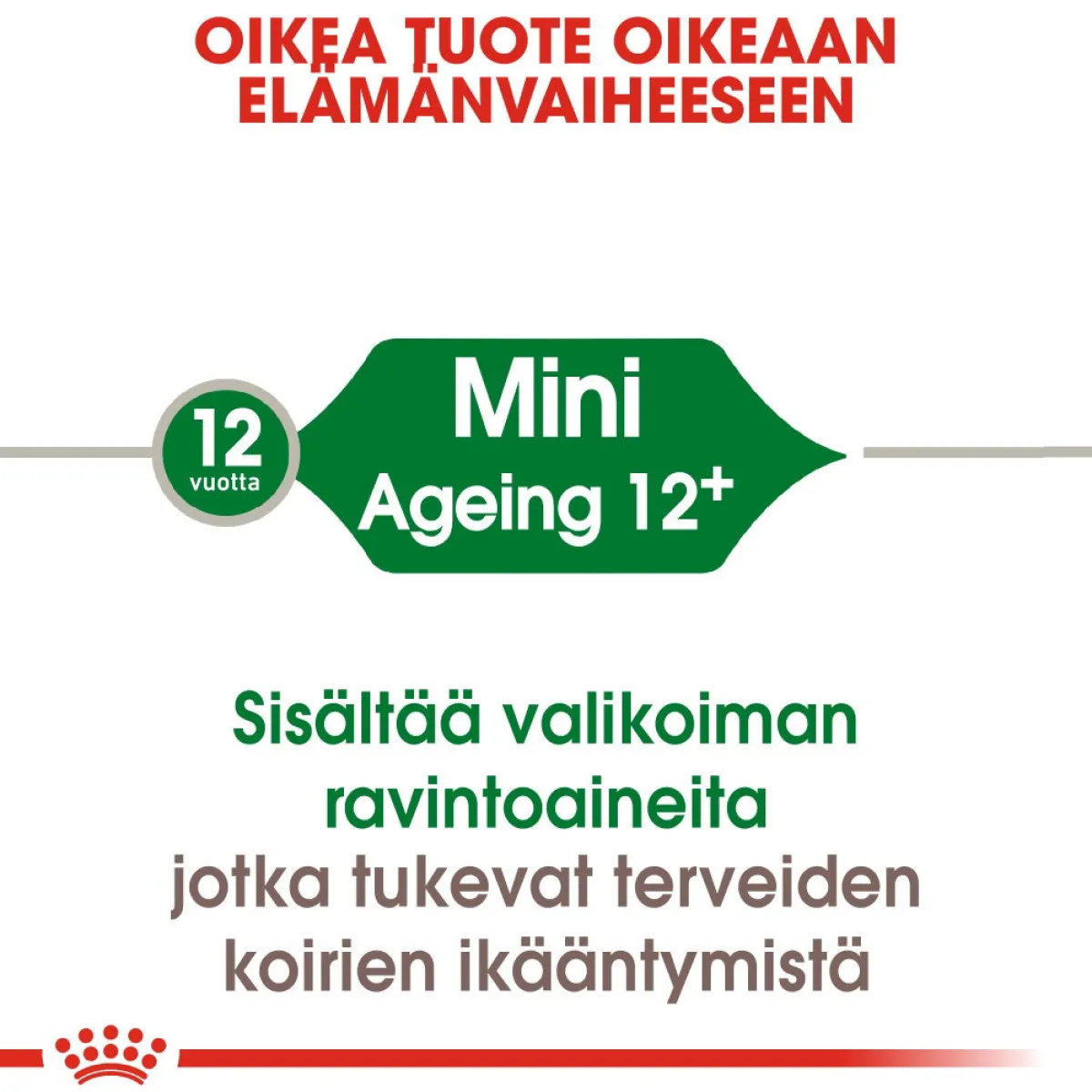 Royal Canin Koiran Kuivaruoka|Senioriruoka*Mini Ageing 12+ 1,5 kg